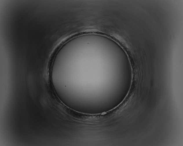 X0000099991167200806061538