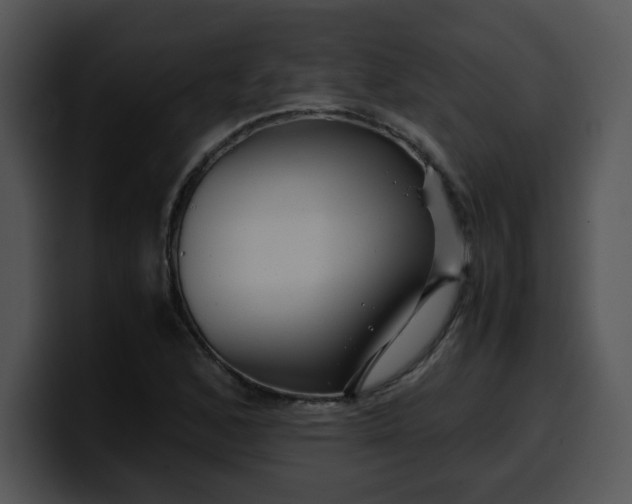 X0000099991168200806061538