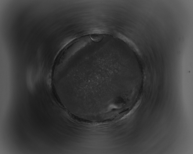 X0000099991170200806061538