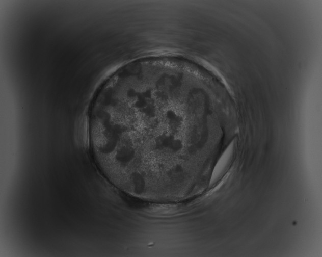 X0000099991171200806061538