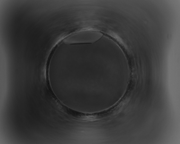 X0000099991173200806061538