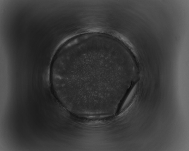 X0000099991174200806061538