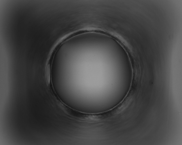 X0000099991175200806061538