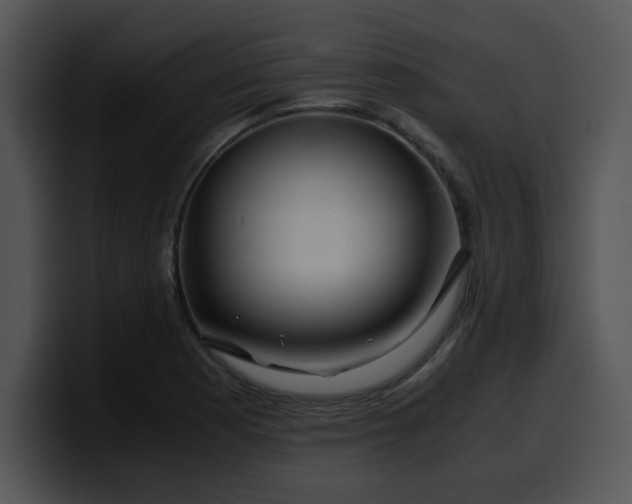 X0000099991177200806061538