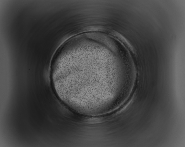 X0000099991178200806061538