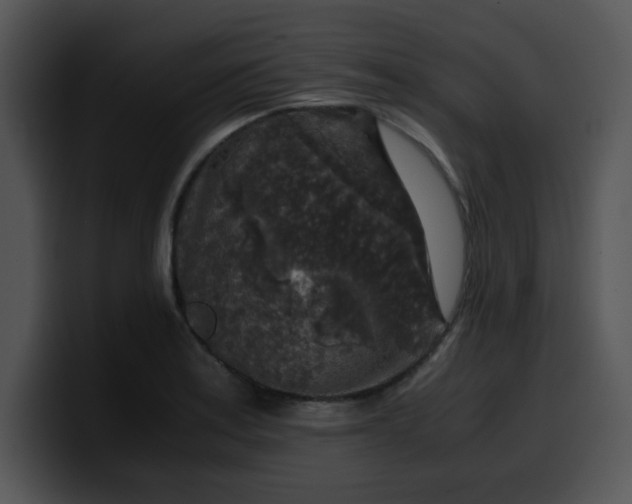 X0000099991179200806061538