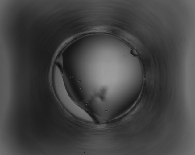 X0000099991180200806061538