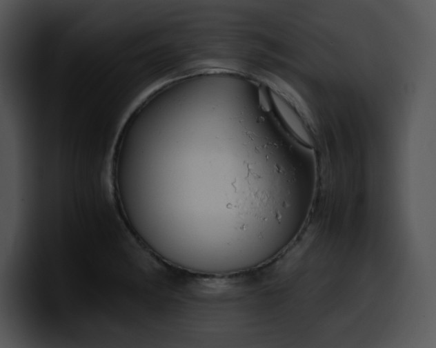 X0000099991182200806061538