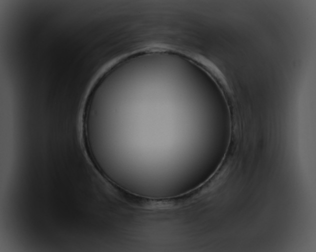 X0000099991183200806061538