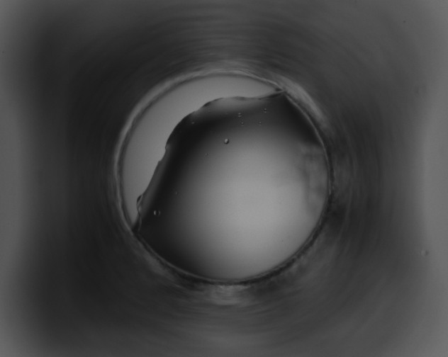 X0000099991184200806061538