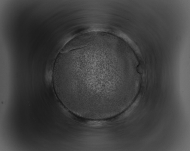 X0000099991185200806061538