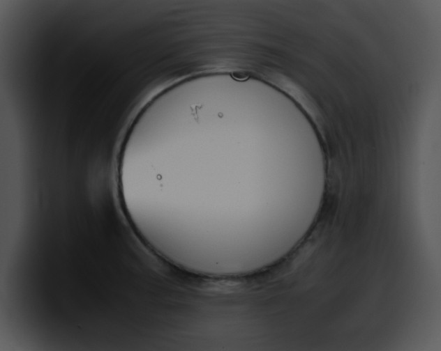 X0000099991187200806061538