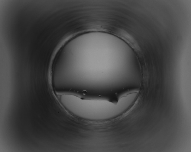 X0000099991188200806061538