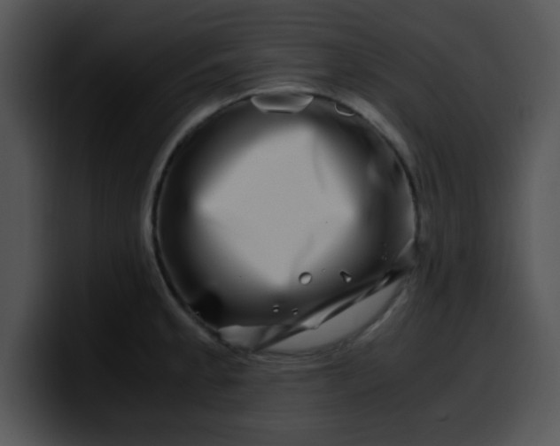 X0000099991189200806061538