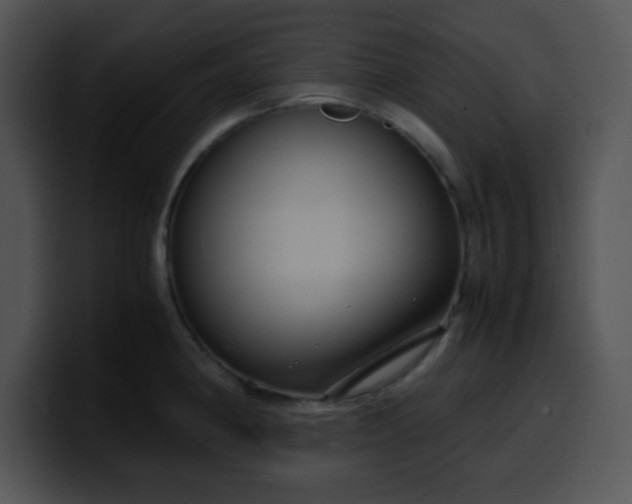 X0000099991190200806061538