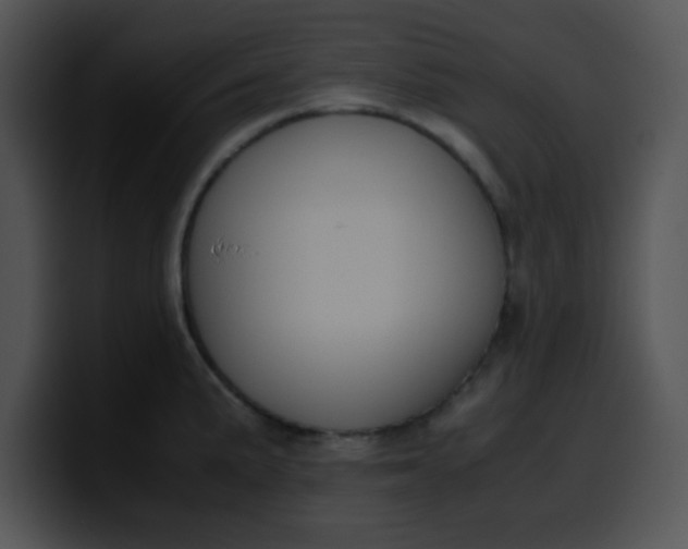 X0000099991191200806061538