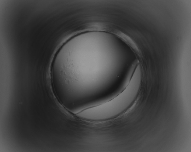 X0000099991192200806061538