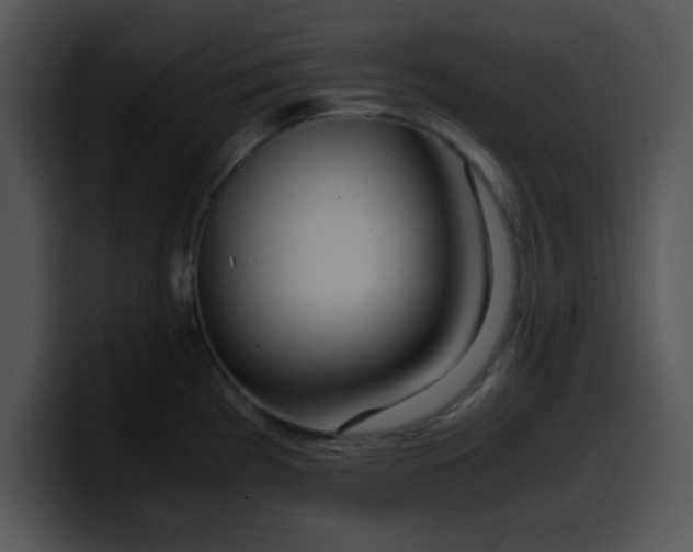 X0000099991193200806061538