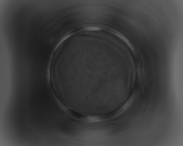 X0000099991194200806061538