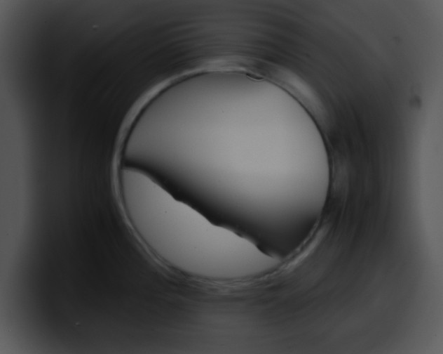 X0000099991196200806061538