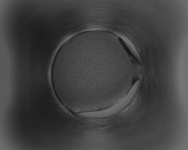 X0000099991197200806061538