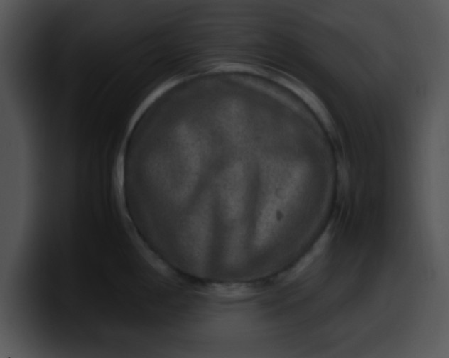 X0000099991198200806061538