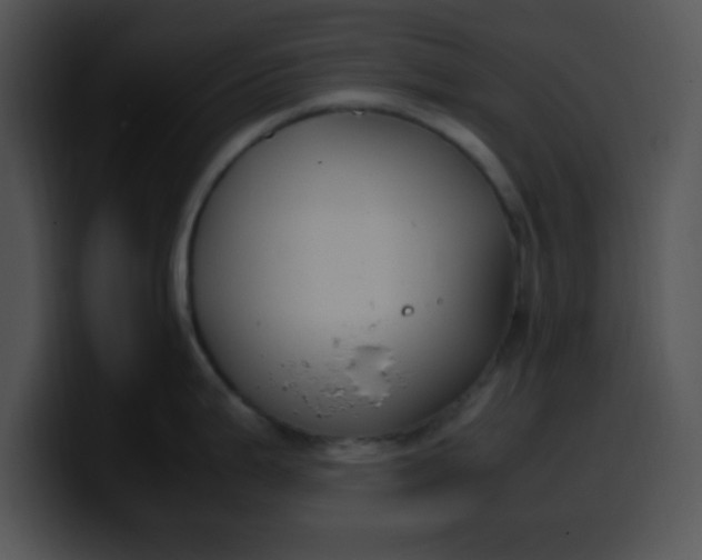 X0000099991199200806061538