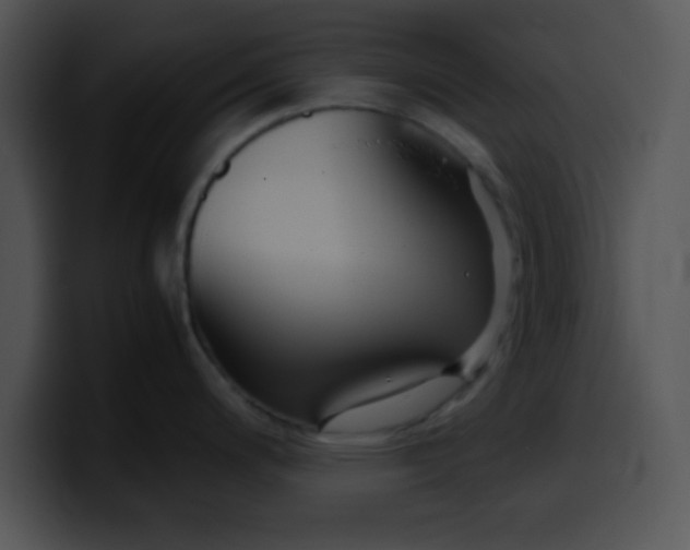 X0000099991200200806061538