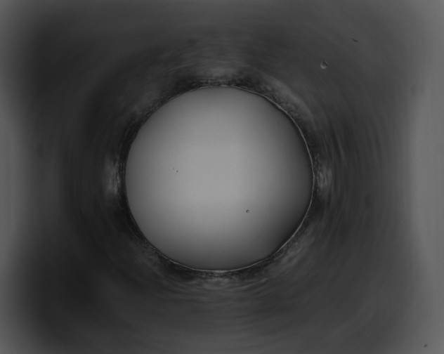 X0000099991204200806061537