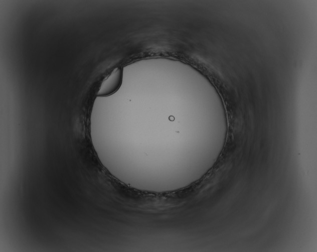 X0000099991207200806061537
