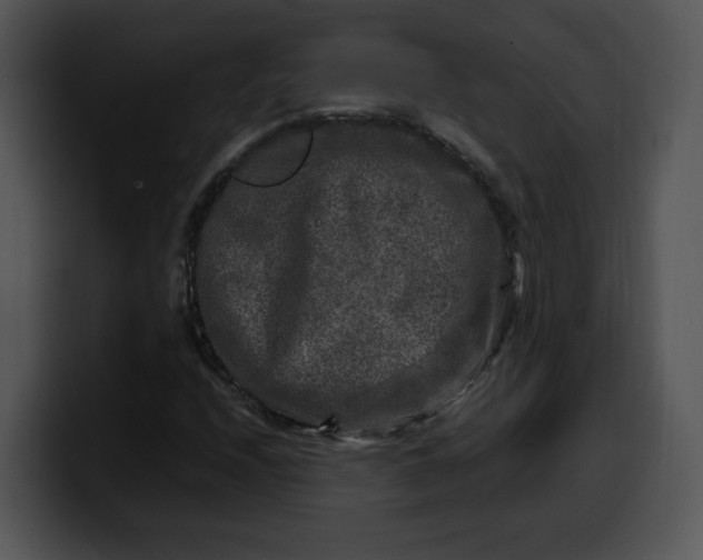 X0000099991208200806061537