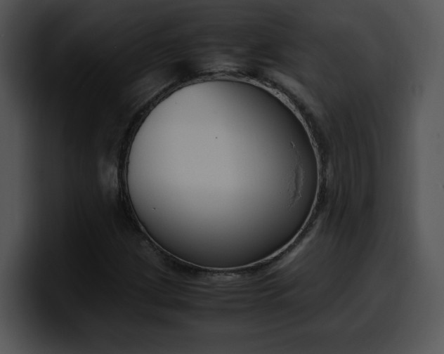 X0000099991209200806061537