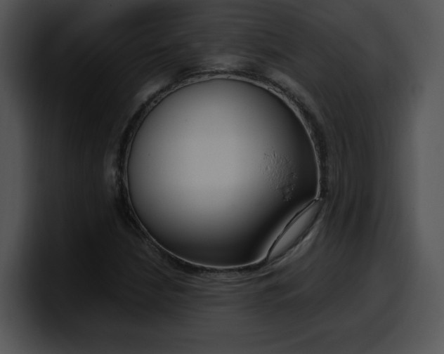 X0000099991210200806061537