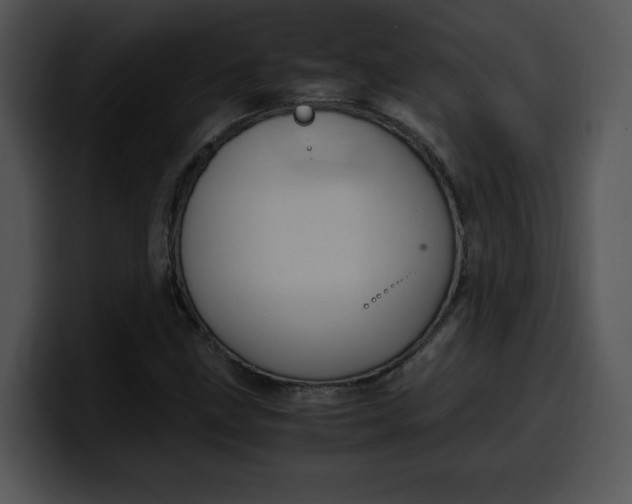X0000099991211200806061537