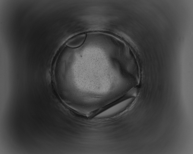 X0000099991212200806061537