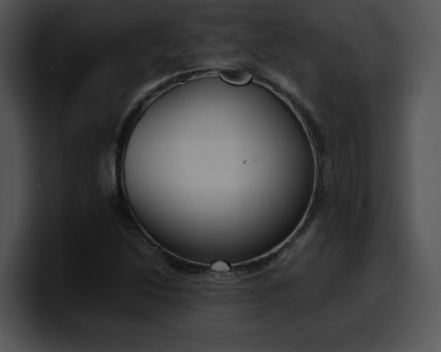 X0000099991214200806061537