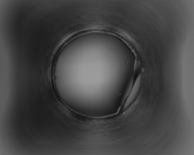 X0000099991216200806061537