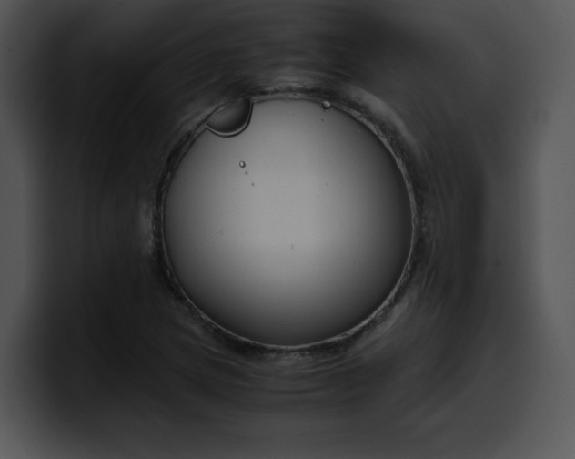 X0000099991217200806061537