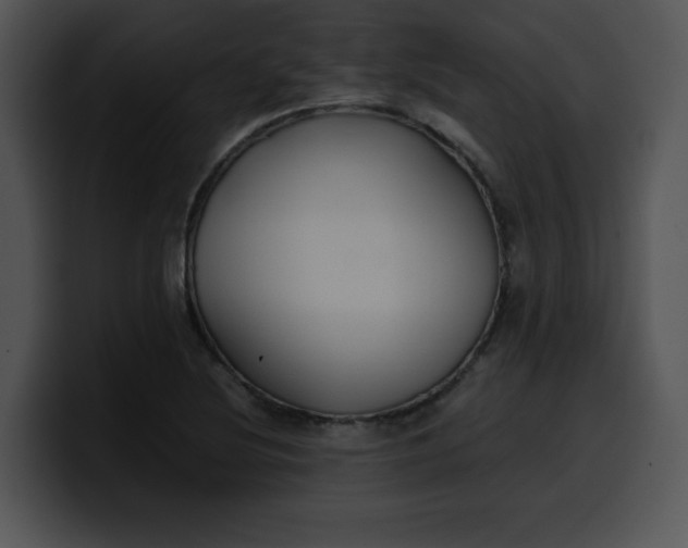 X0000099991220200806061537