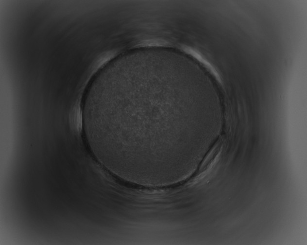 X0000099991221200806061537