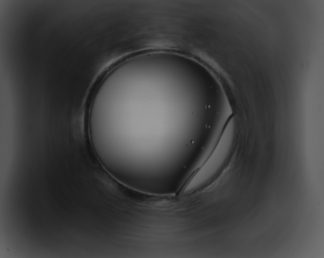 X0000099991222200806061537