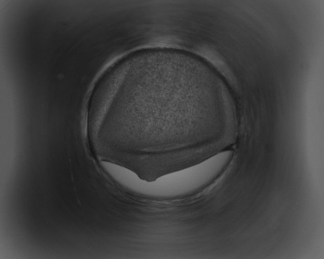 X0000099991224200806061537