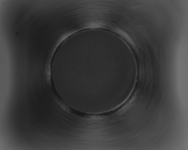 X0000099991226200806061537