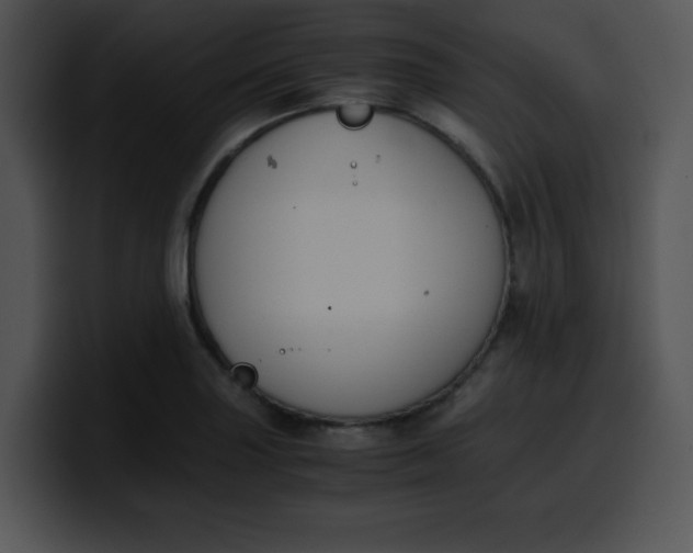 X0000099991227200806061537