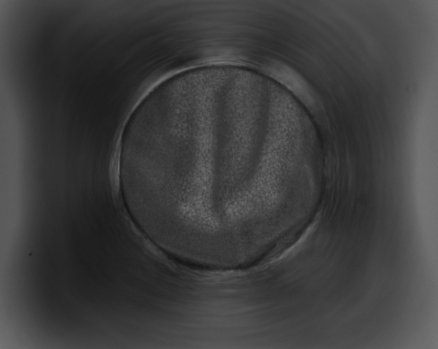 X0000099991228200806061537