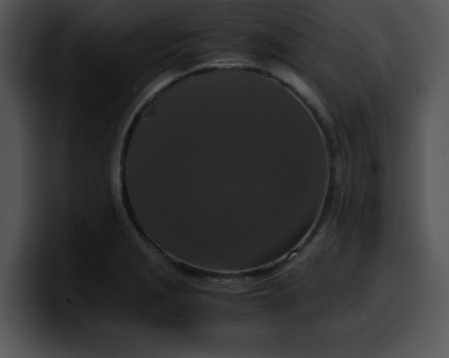 X0000099991229200806061537