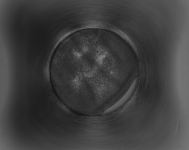 X0000099991230200806061537