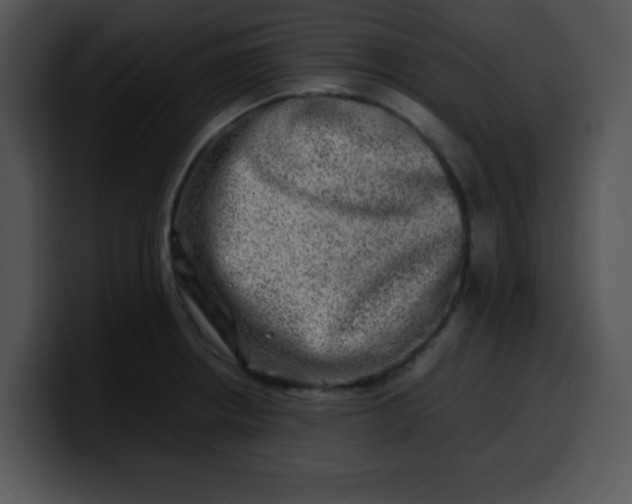 X0000099991234200806061537