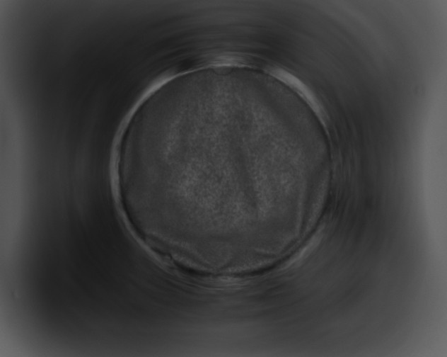 X0000099991235200806061537