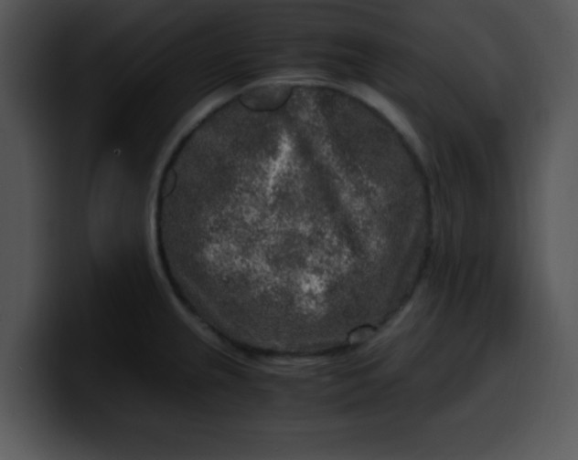 X0000099991237200806061537